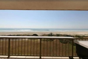 Palm Breeze - Hosted by Burleigh Letting